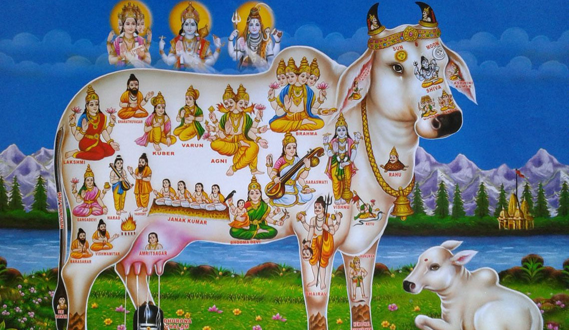 Keep Kamdhenu Cow In Home: Know Kamdhenu Cow Vastu Direction